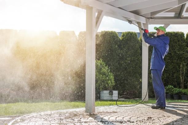 Best Building Exterior Washing  in Bright, IN